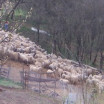 La masa in Ardeal