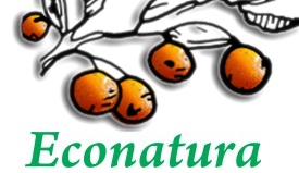 Castiga trei pachete Montignac de la EcoNatura