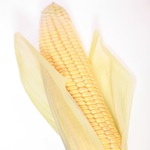 Organismele modificate genetic sunt otrava