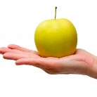 Blender sau storcator de fructe?