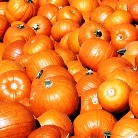 Alimentele lunii noiembrie