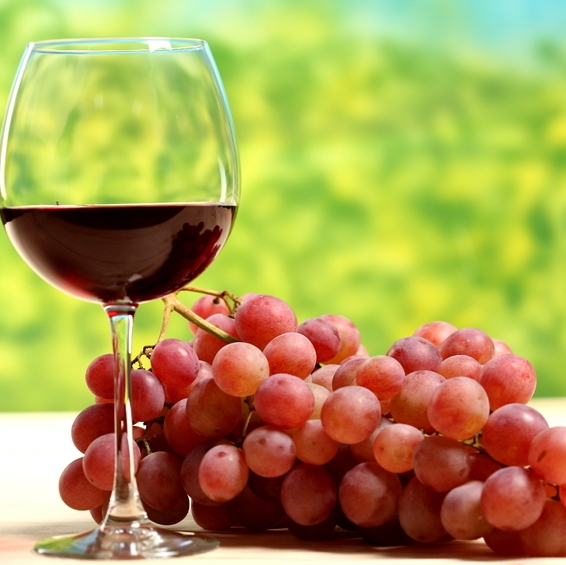 Ramane Franta fara vin?