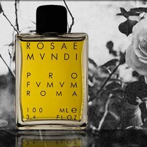 (P) Rosae Mundi acum si in Romania, in exlusivitate in magazinele Elysee Concept!
