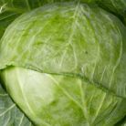 Dieta pe timp de criza