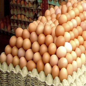 Cum tratezi intoxicatia alimentara cu oua