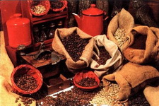 Ce nu ti-a spus nimeni despre cafeina