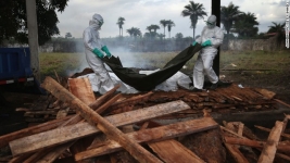 Tot ce trebuie sa stii despre Ebola