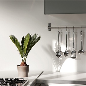Sfaturi de design interior pentru o viata sanatoasa