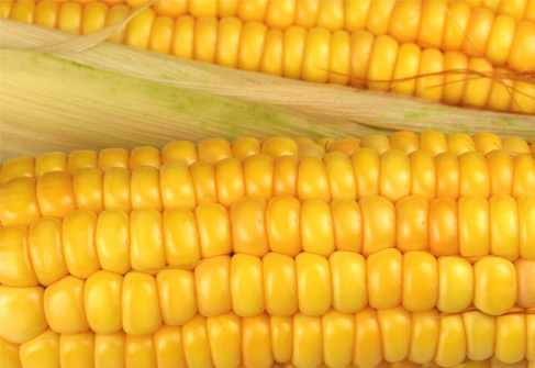 9 alimente surprinzatoare pe care le poti congela