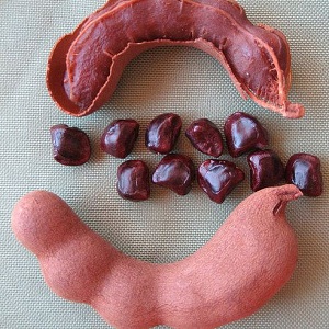 Tamarind, condimentul care imbunatateste digestia