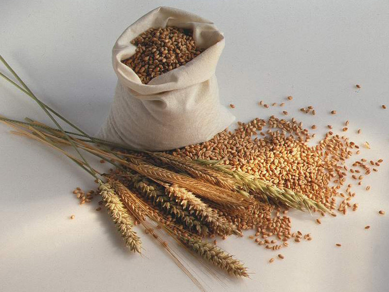 Adevarul despre gluten