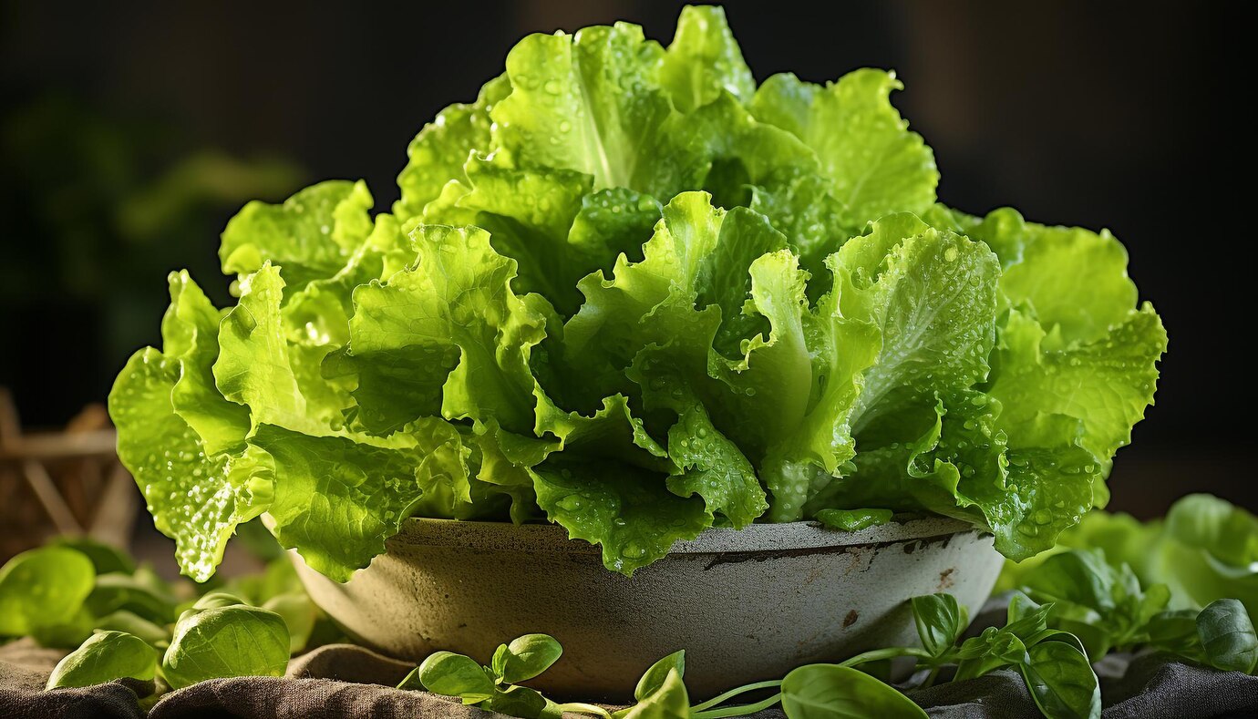 Cum menții salata verde și crocantă chiar și 2 săptămâni VIDEO
