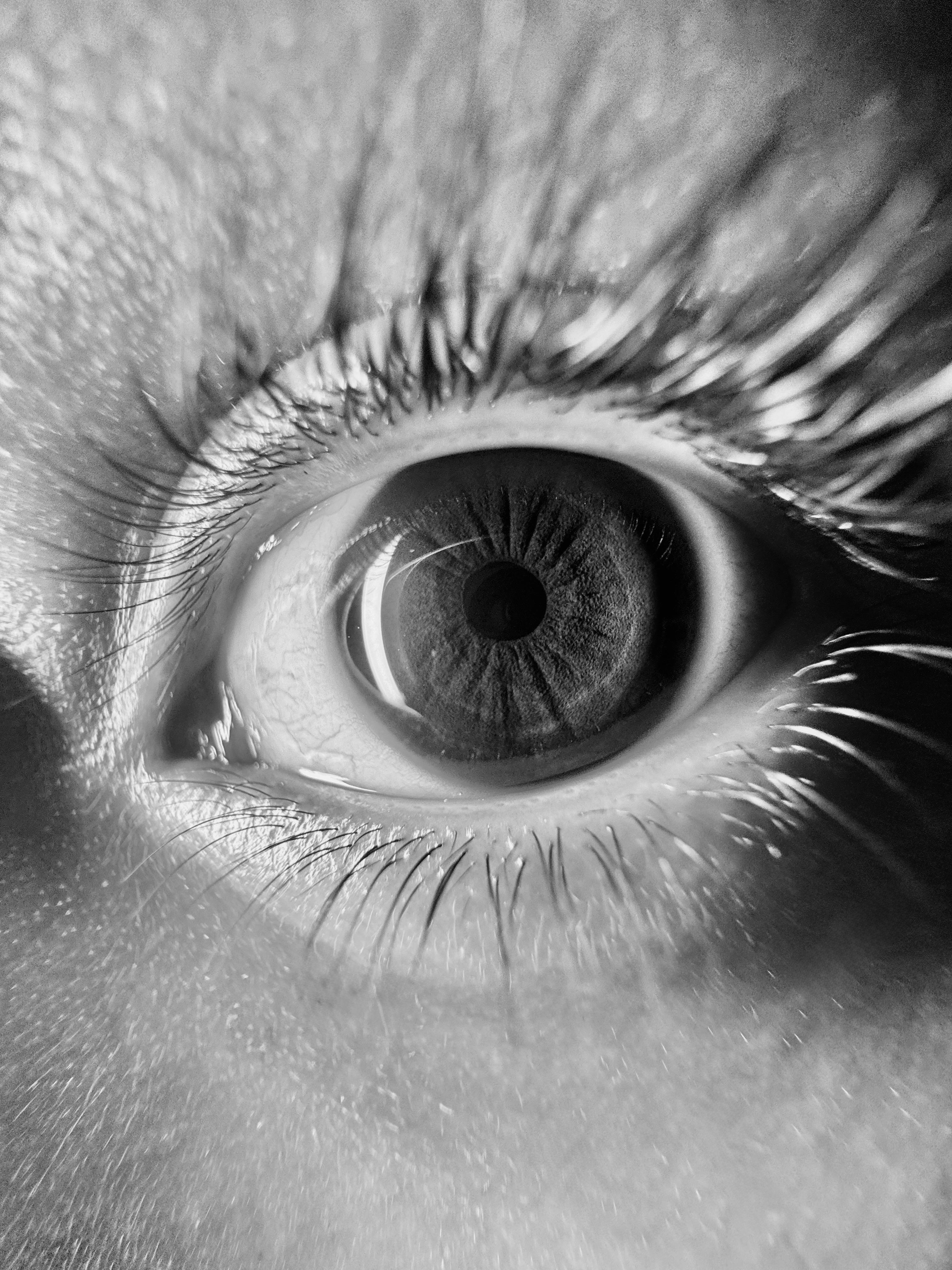 Cum să ai grijă de sănătatea ochilor copiilor. Sursa foto pexels.com