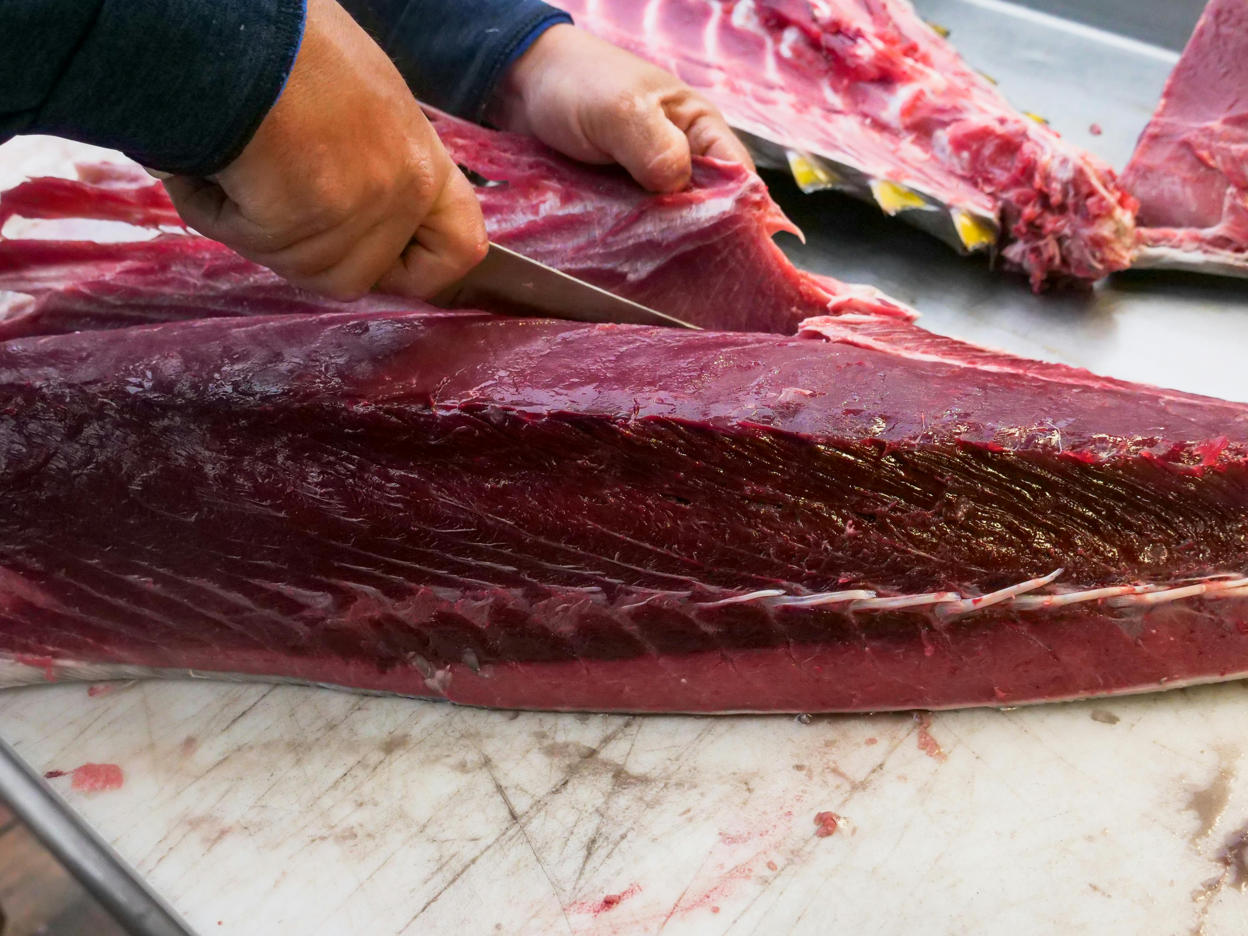 Dieta carnivoră.  Sursa foto pexels.com