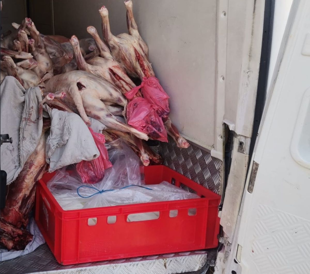 ANSVSA: Peste o tonă de carne de miel nu va mai ajunge pe tarabe, înainte de Paște
