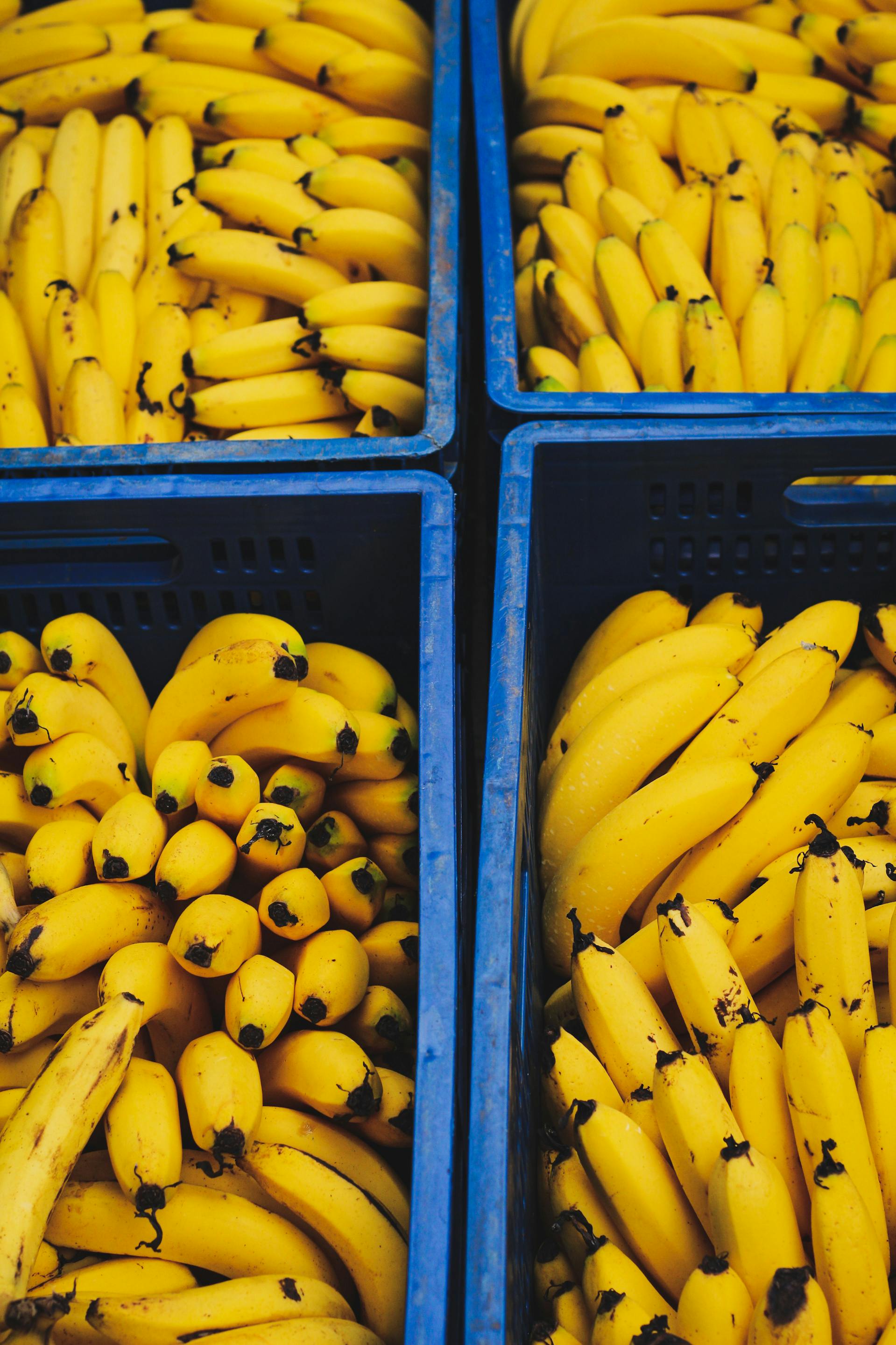 Bananele modificate nu se înnegresc. sursa foto pexels.com