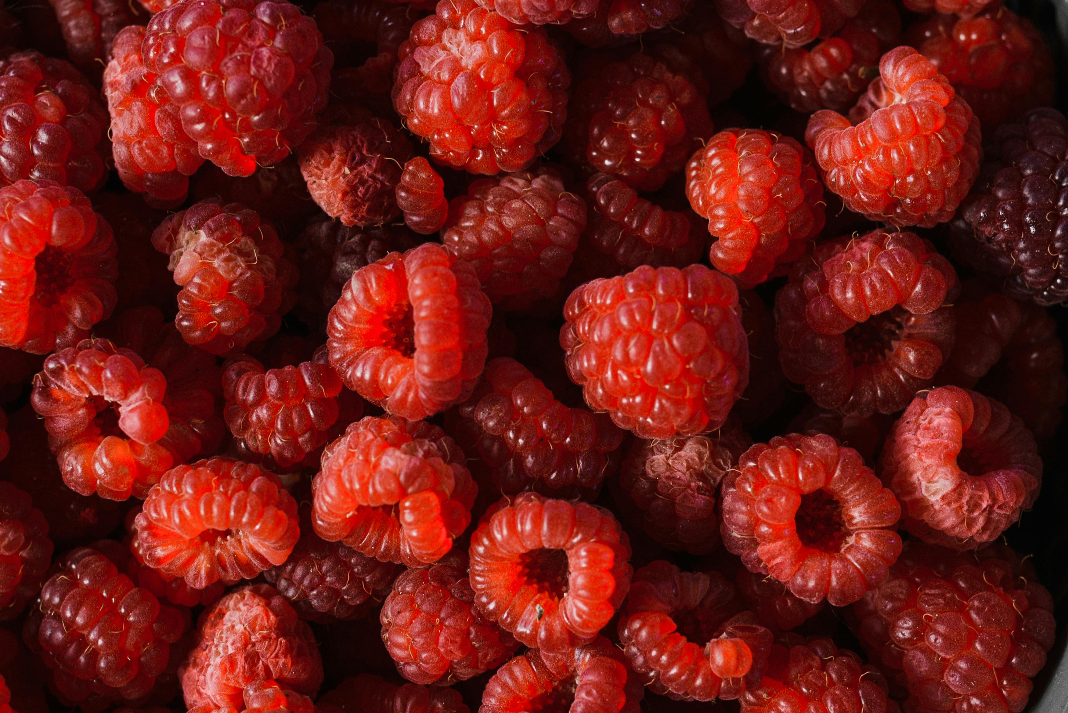 Fructele de pădure conțin mulți  antioxidanți. sursa foto pexels.com