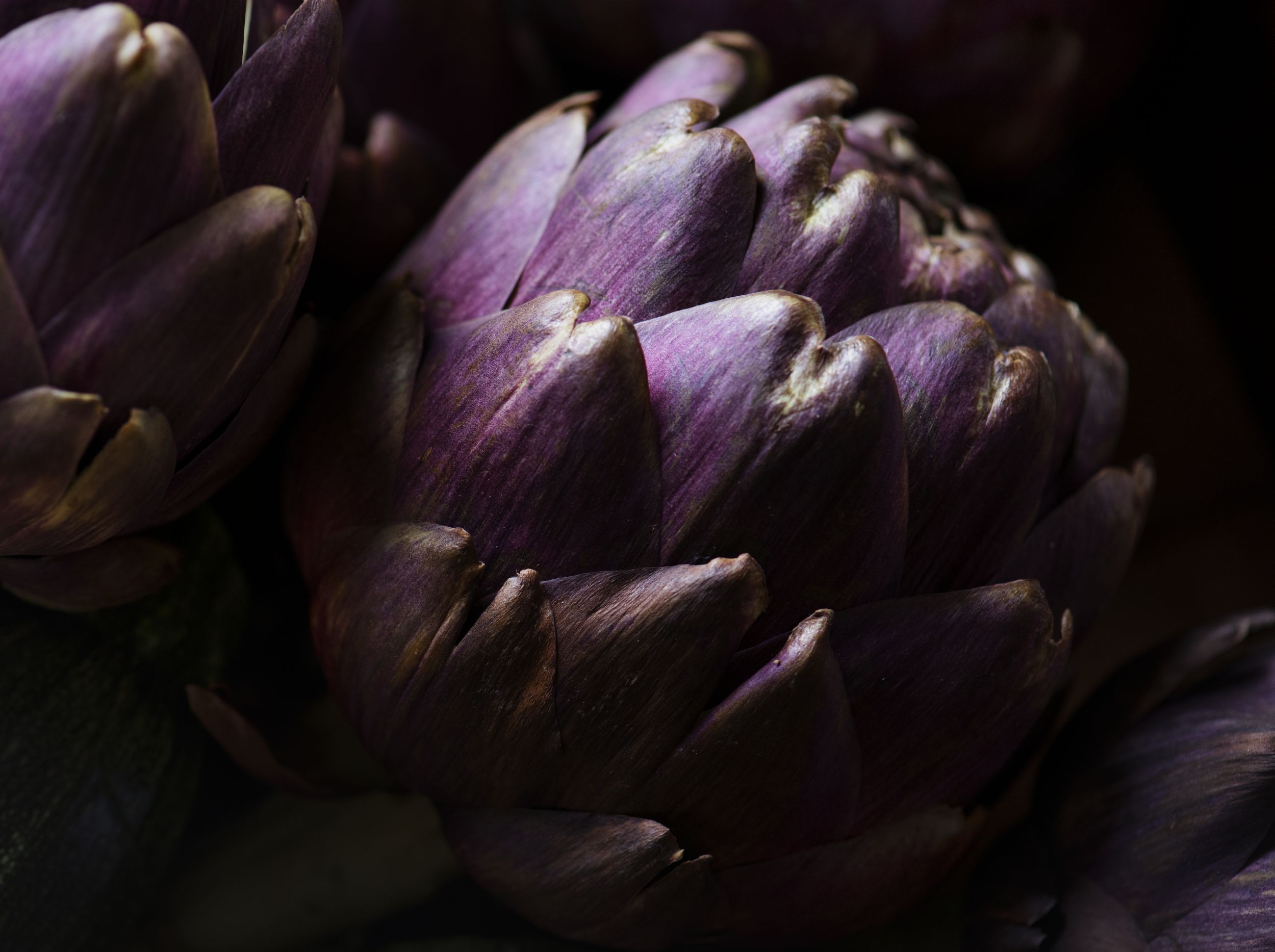 Anghinarea violet se cultivă o dată pe an. sursa foto freepik.com