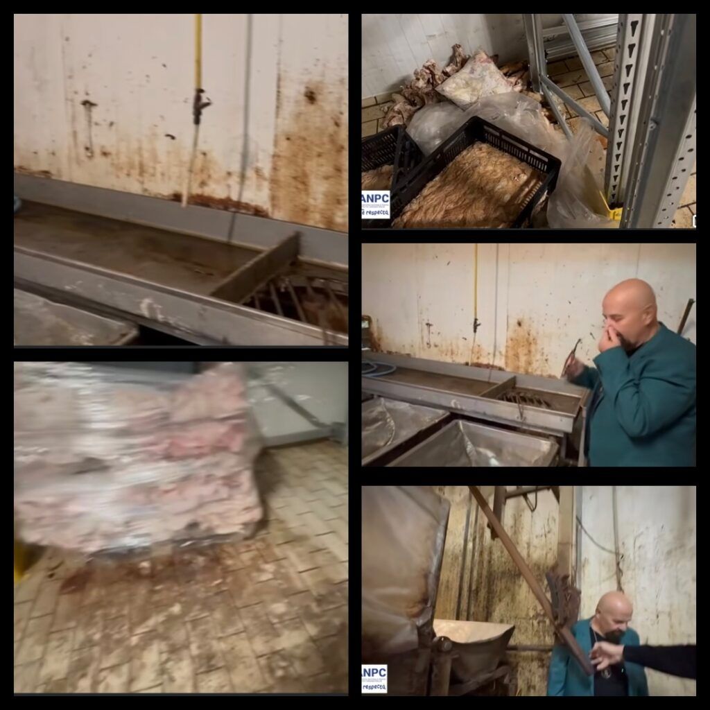 ANPC vrea închiderea DEFINITIVĂ a abatorului. sursa foto capturi Facebook