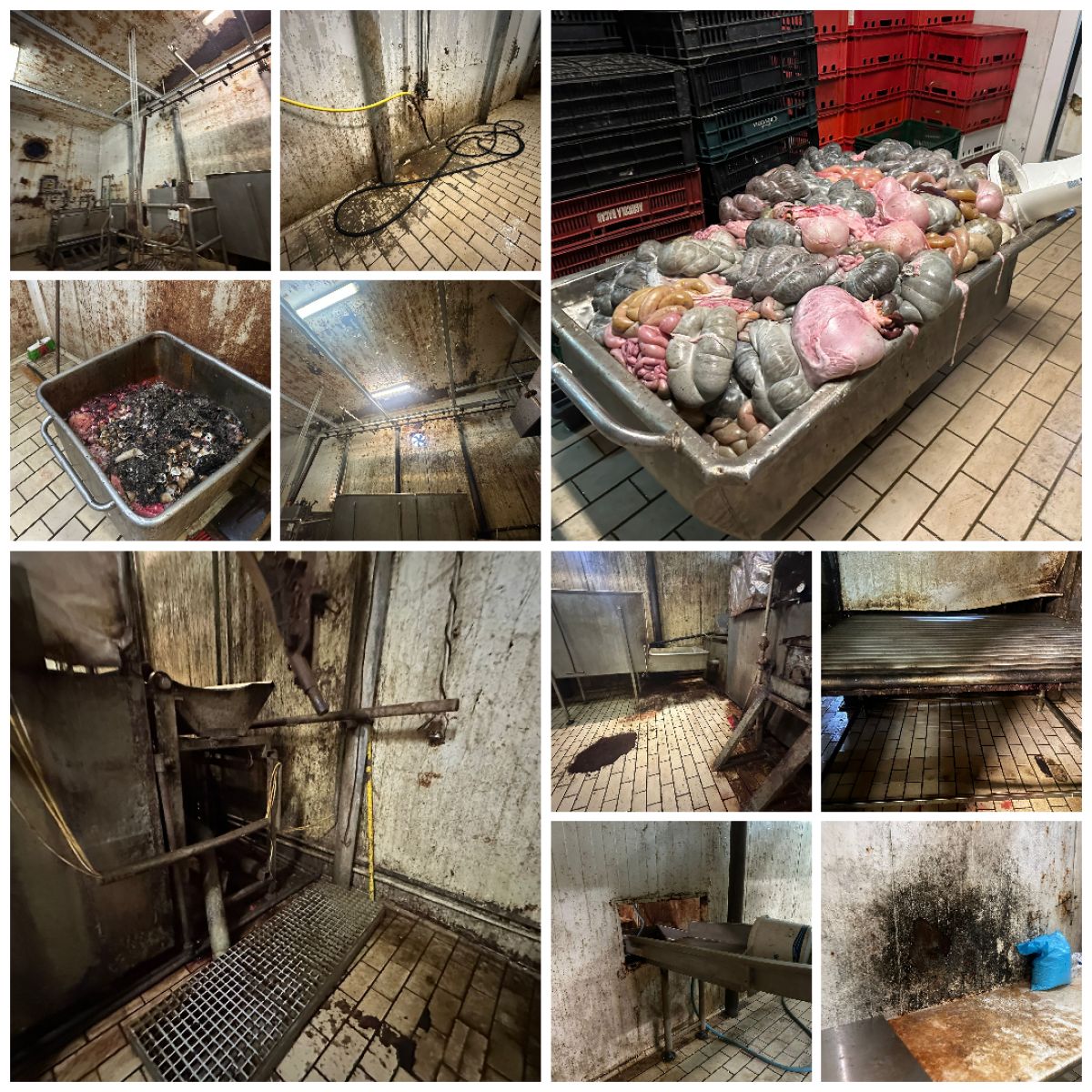 Toate încăperile sunt într-o stare deplorabilă și murdară. sursa foto capturi Facebook