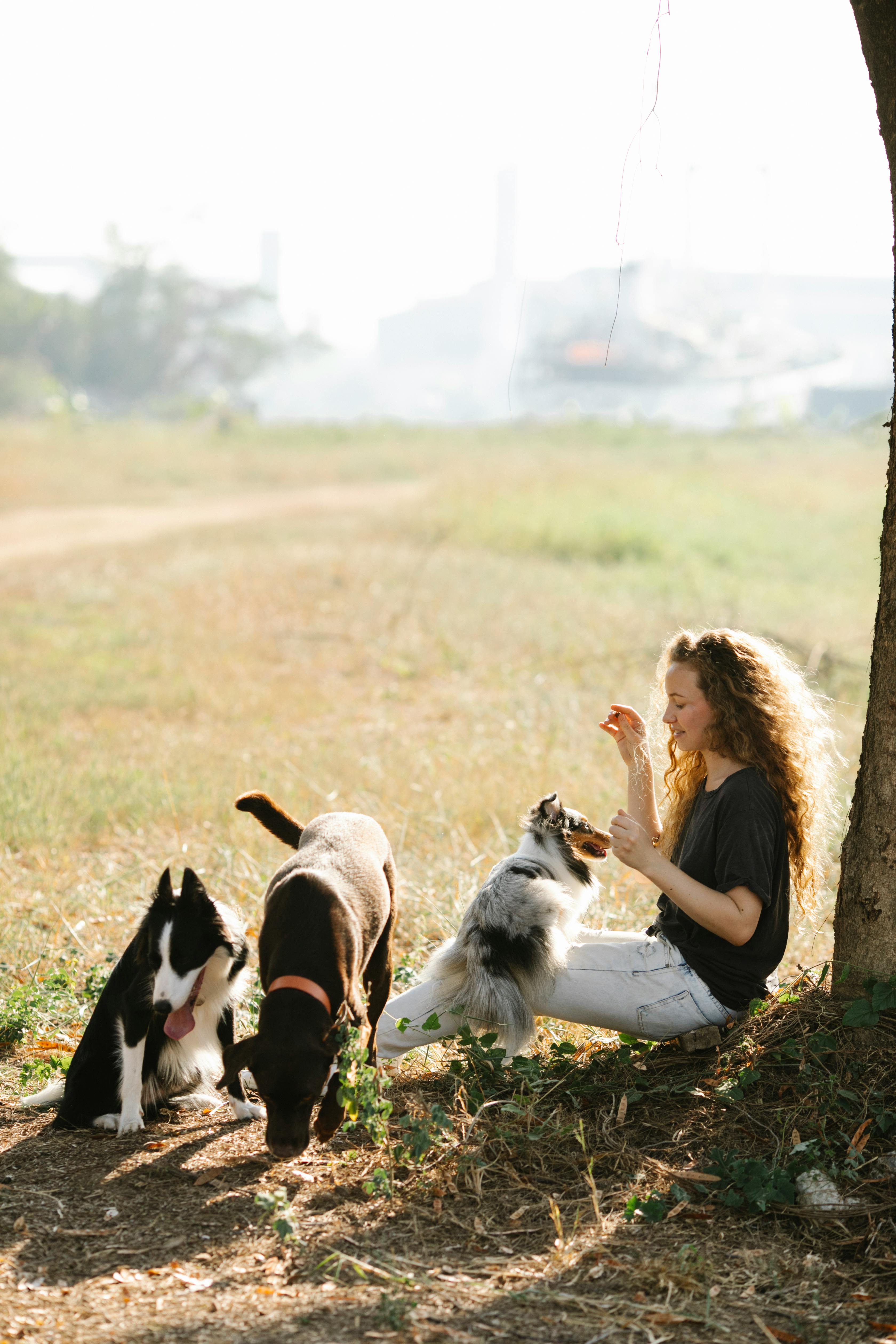 Treburile casnice și joaca cu animalele sau copiii sunt și ele o formă de mișcare. sursa foto pexels.com