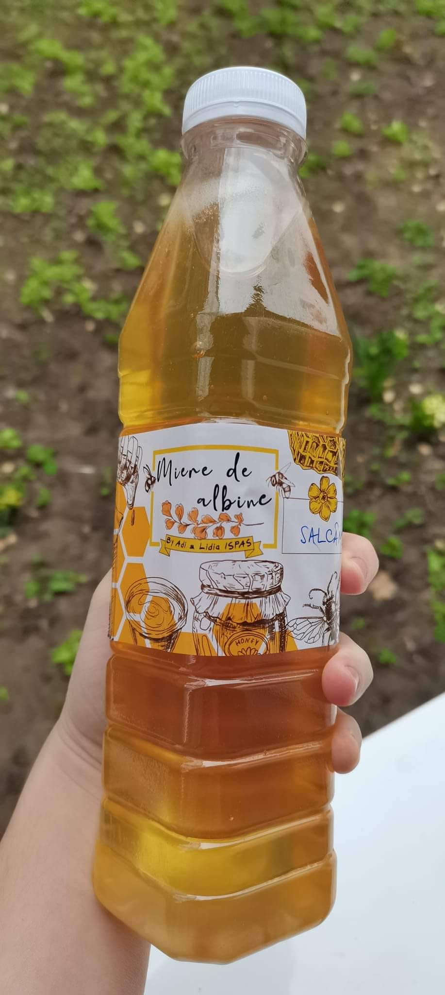 Albinele din România, afectate puternic de schimbările climatice. sursa foto Facebook