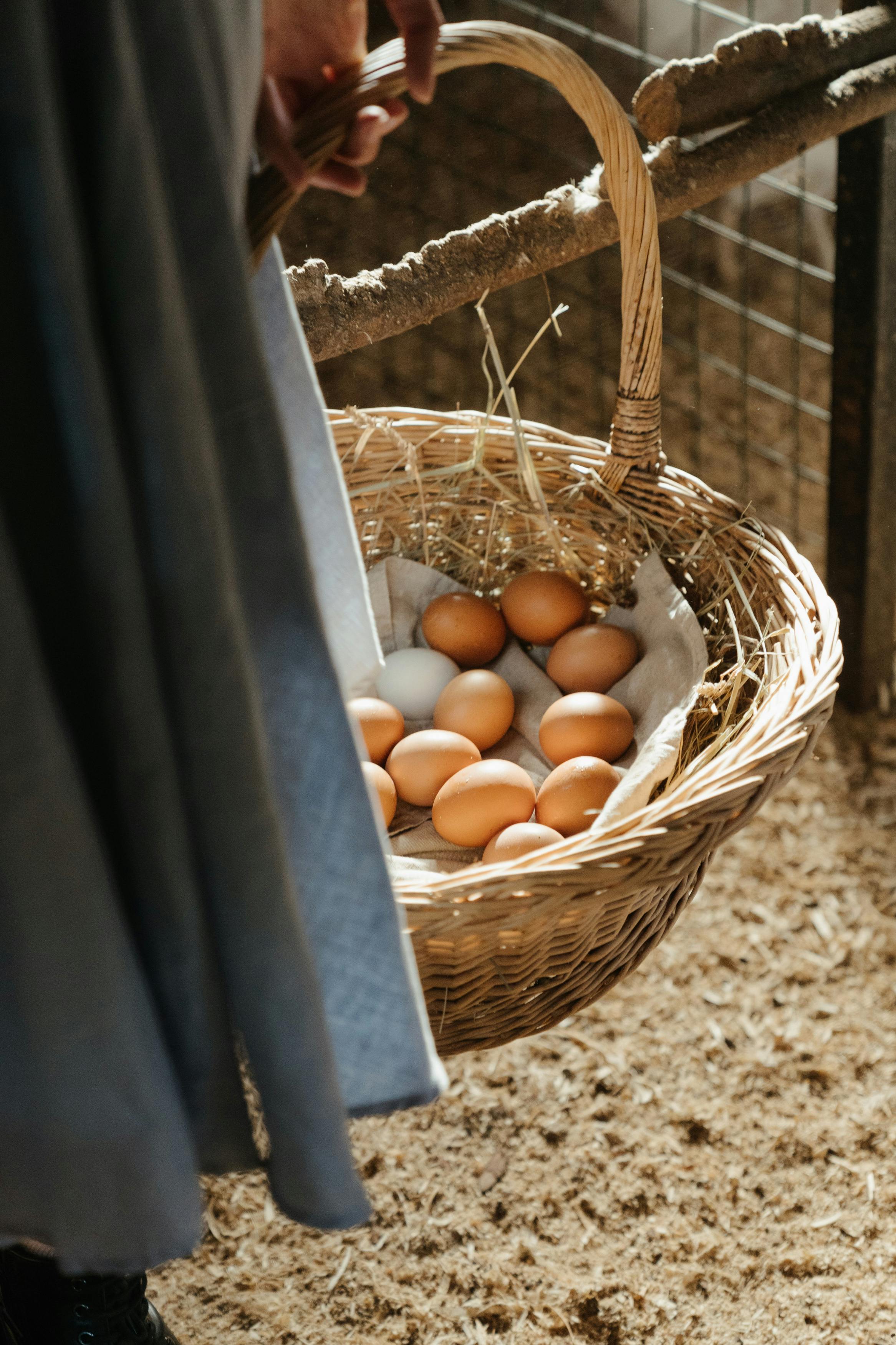 Evită să consumi alimente crude în această perioadă. sursa foto pexels.com