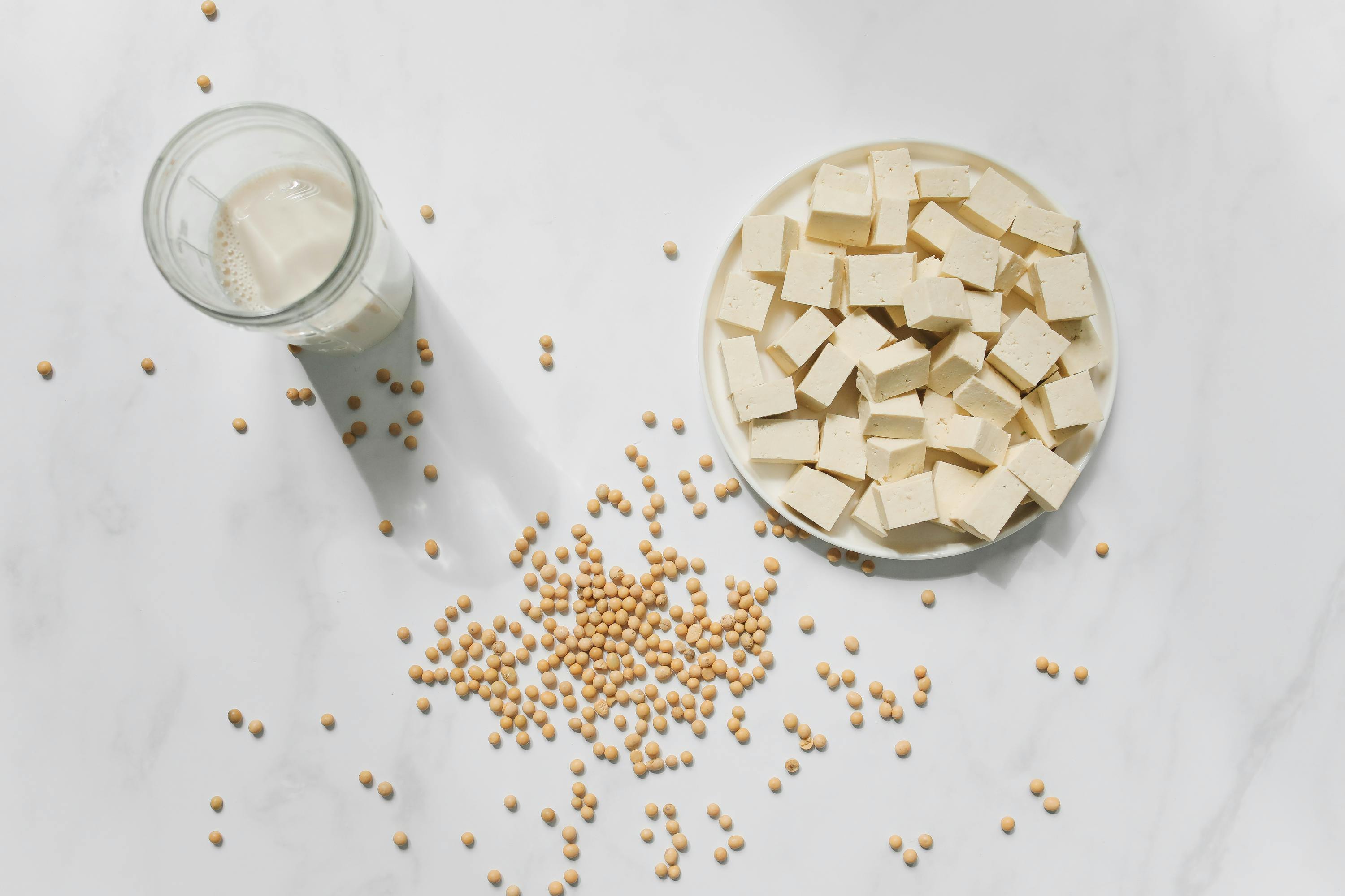 Brânza vegană s-ar putea apropia mult mai mult de gustul celei adevărate. sursa foto pexles.com