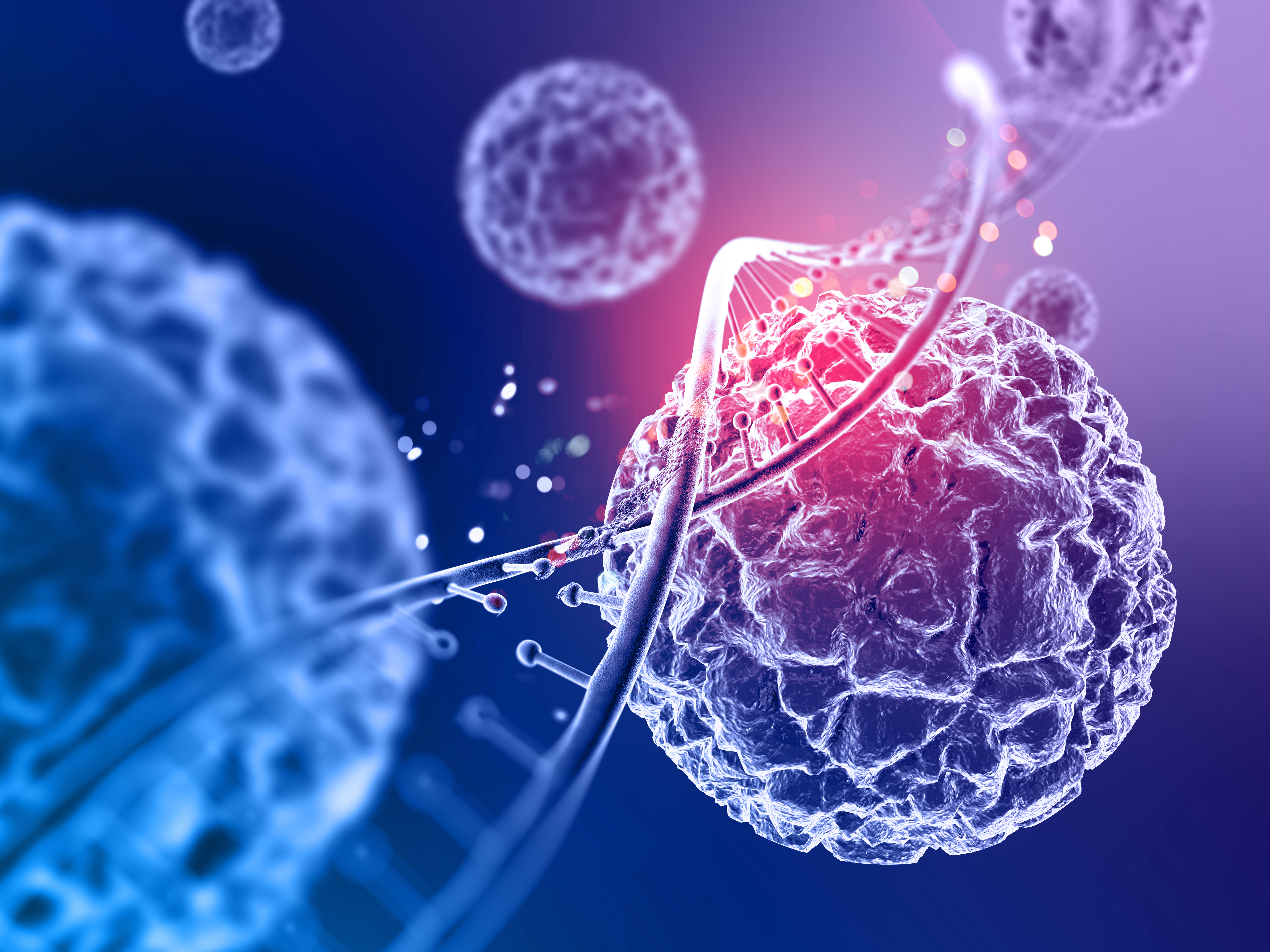 Oamenii sunt mai vulnerabili la cancer decât cimpanzeii din cauza unei mutații genetice. sursa foto freepik.com