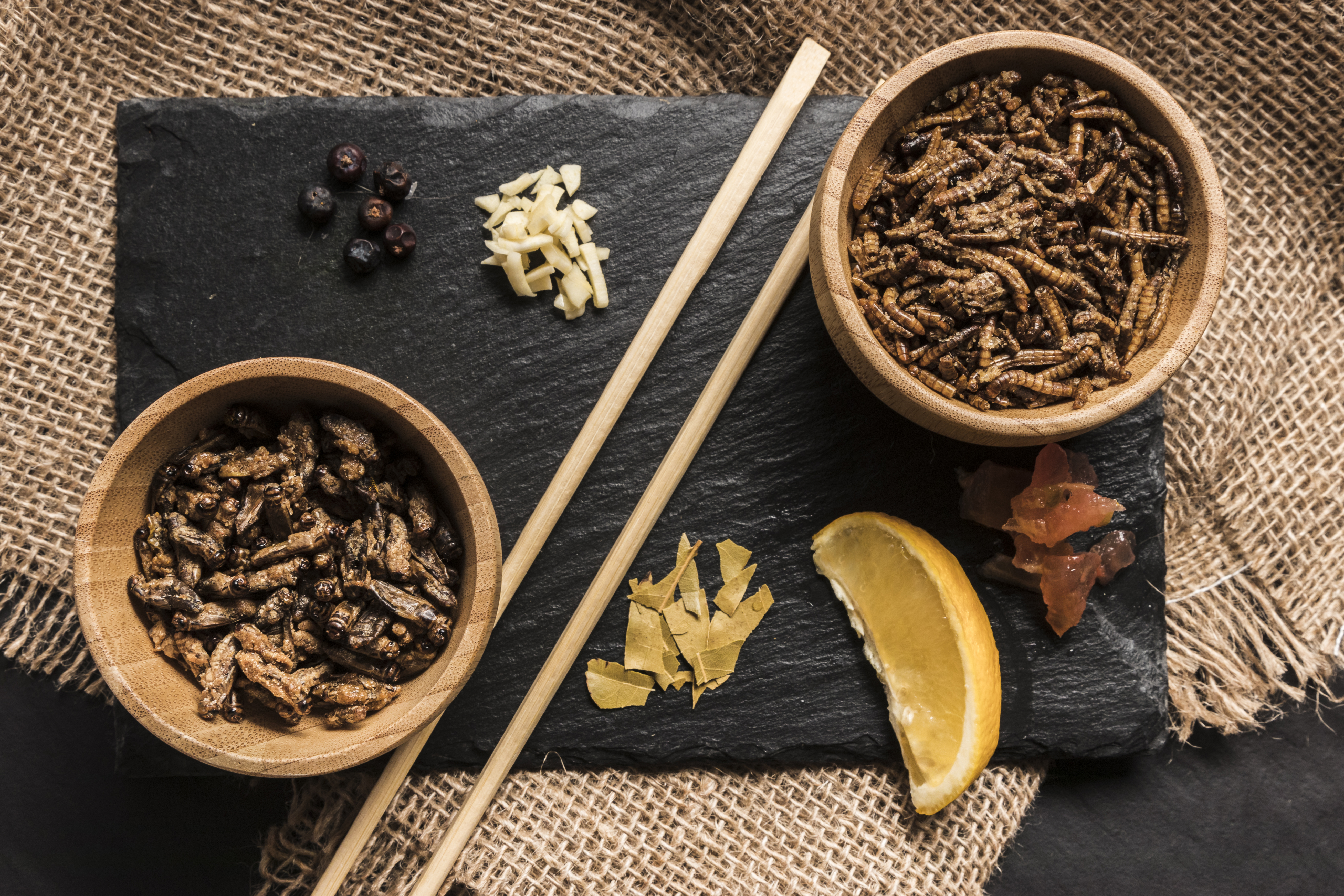 Consumul de insecte nu este acceptat de oameni la nivel global. sursa foto pexels.com