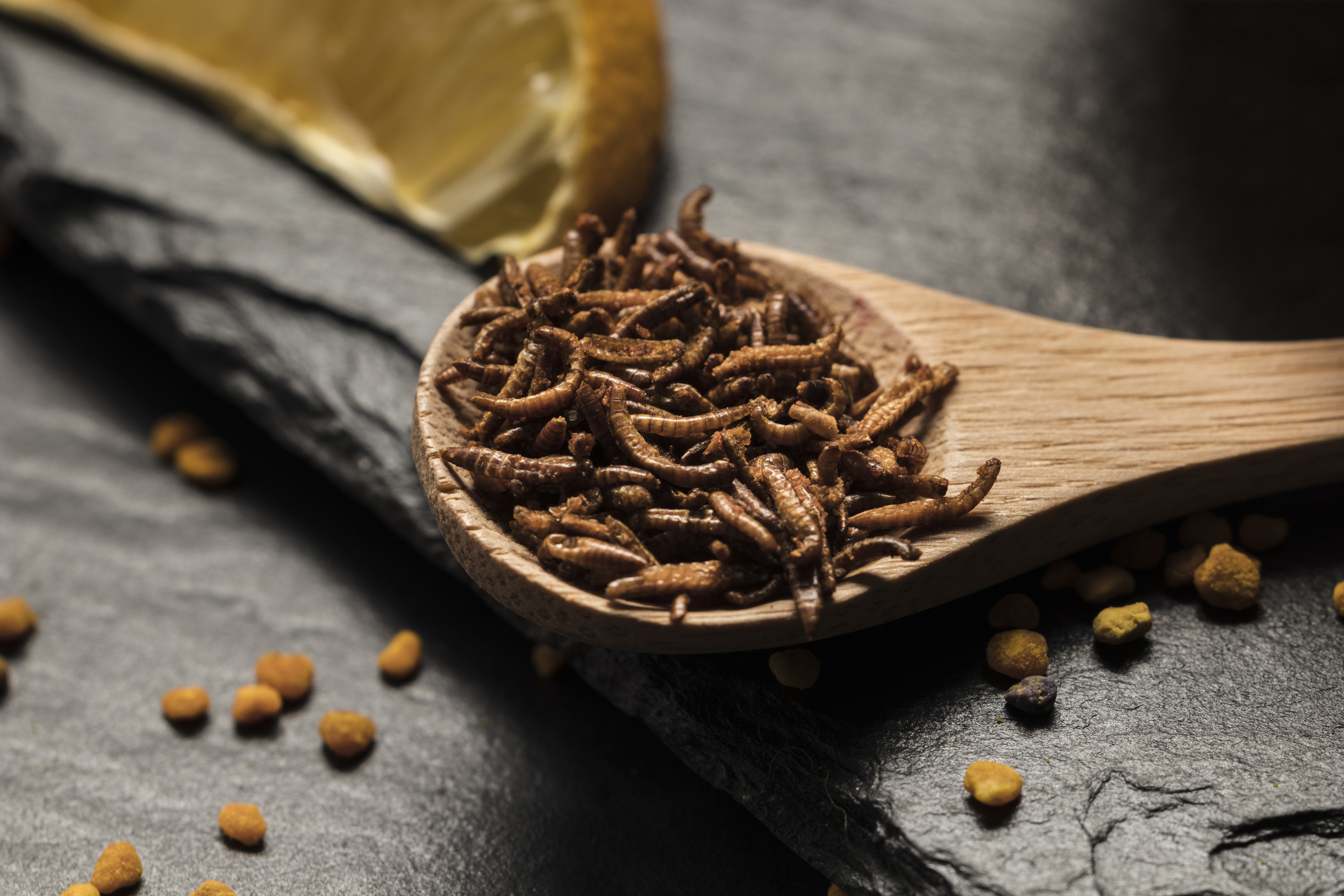 Oferă insectele comestibile proteine și sustenabilitate? sursa foto pexles.com
