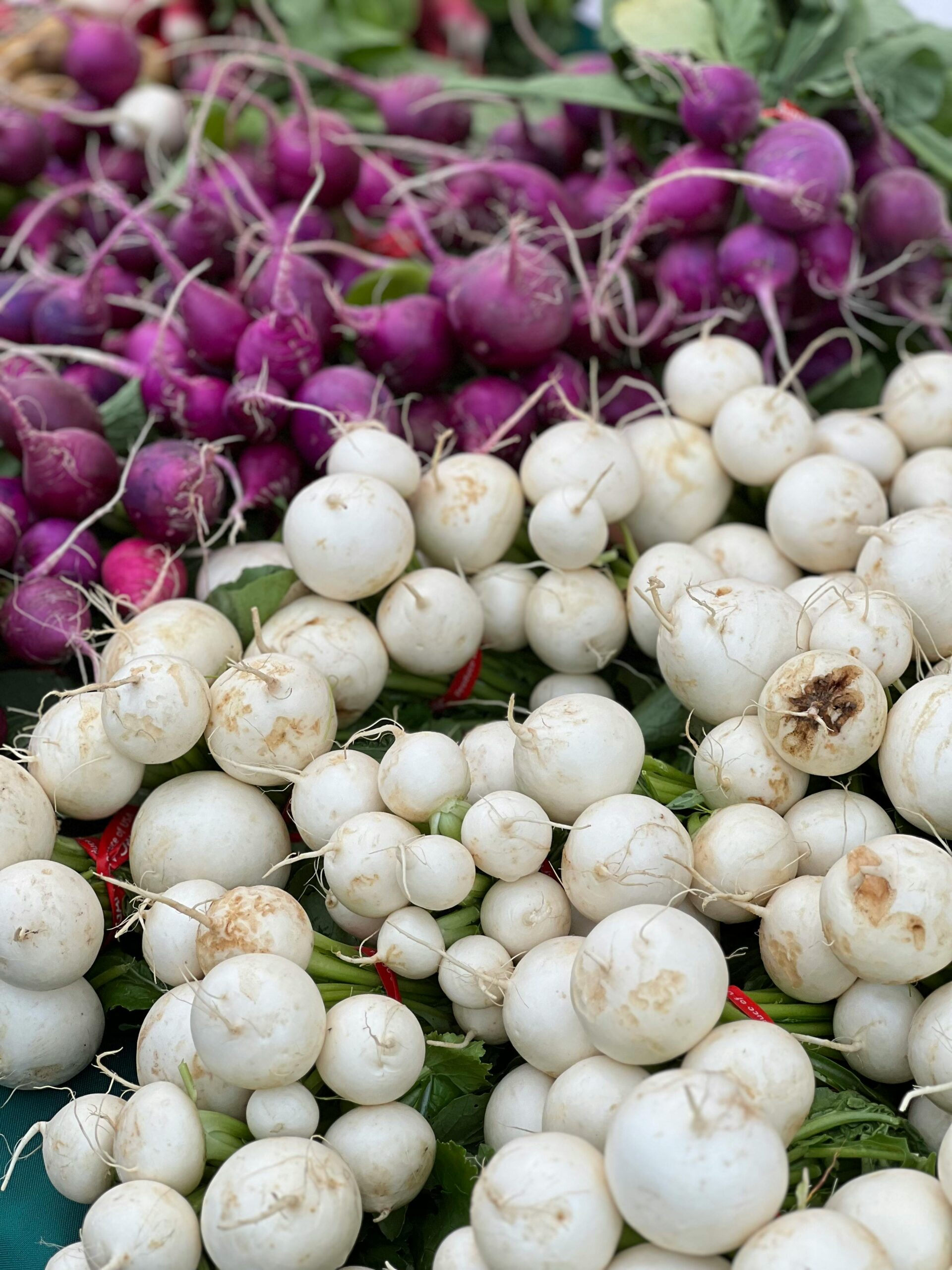 Consumă ridichea albă crudă, în salate sau doar cu sare pe ea. sursa foto pexels.com