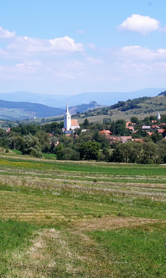 Oamenii muncesc cu drag pe domeniul public. sursa foto Facebook