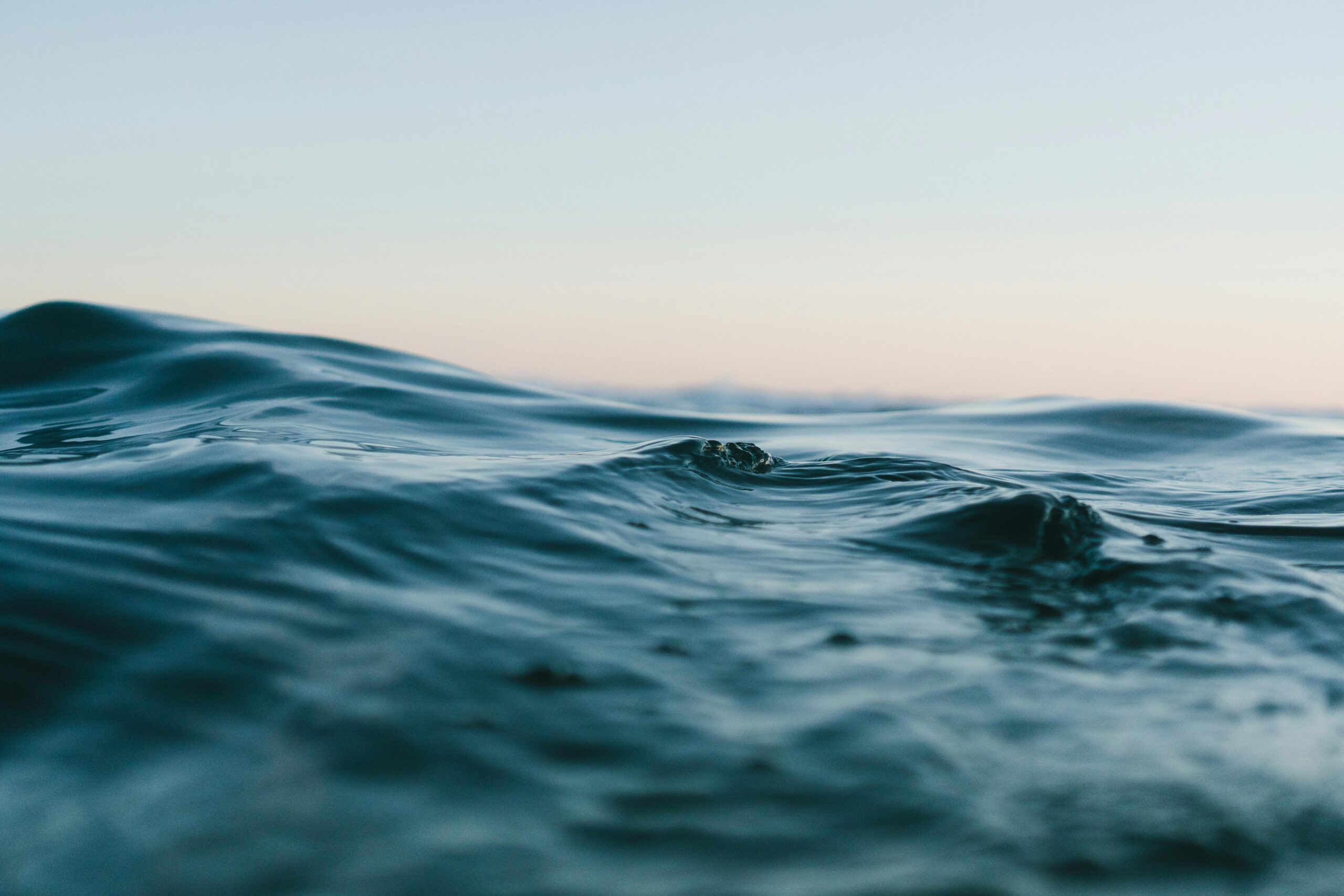 Cum te poți infecta cu bacteria Vibrio? sursa foto pexels.com