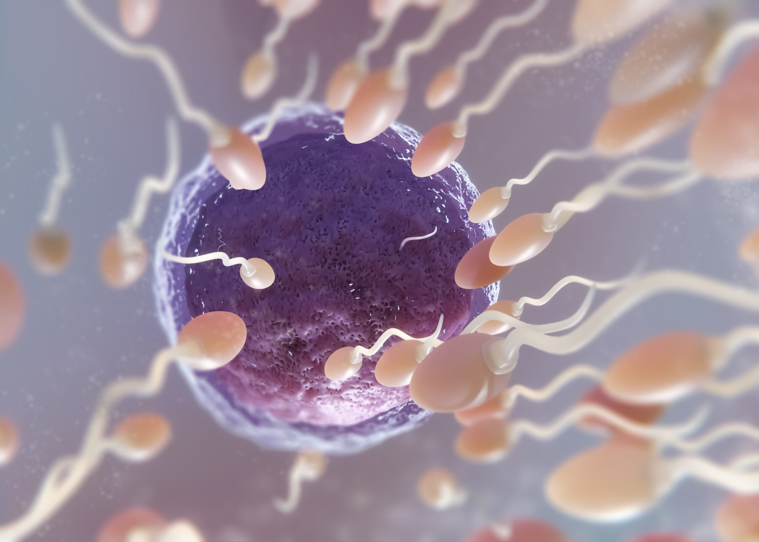 Ce este fertilizarea in vitro, de fapt. sursa foto freepik.com