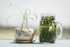 Ceaiul verde poate proteja împotriva Alzheimerului, potrivit cercetătorilor