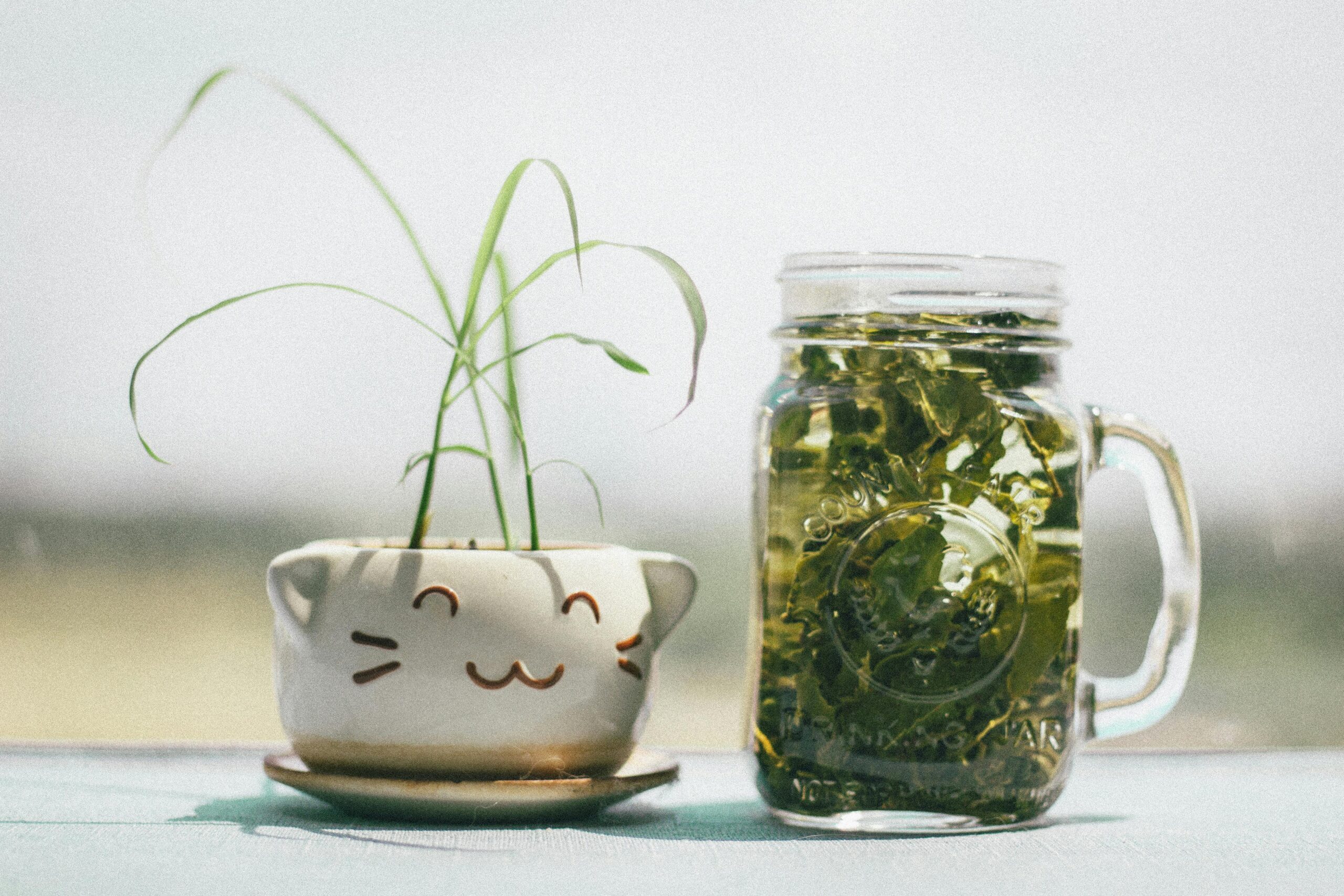Ceaiul verde poate proteja împotriva Alzheimerului. sursa foto pexels.com