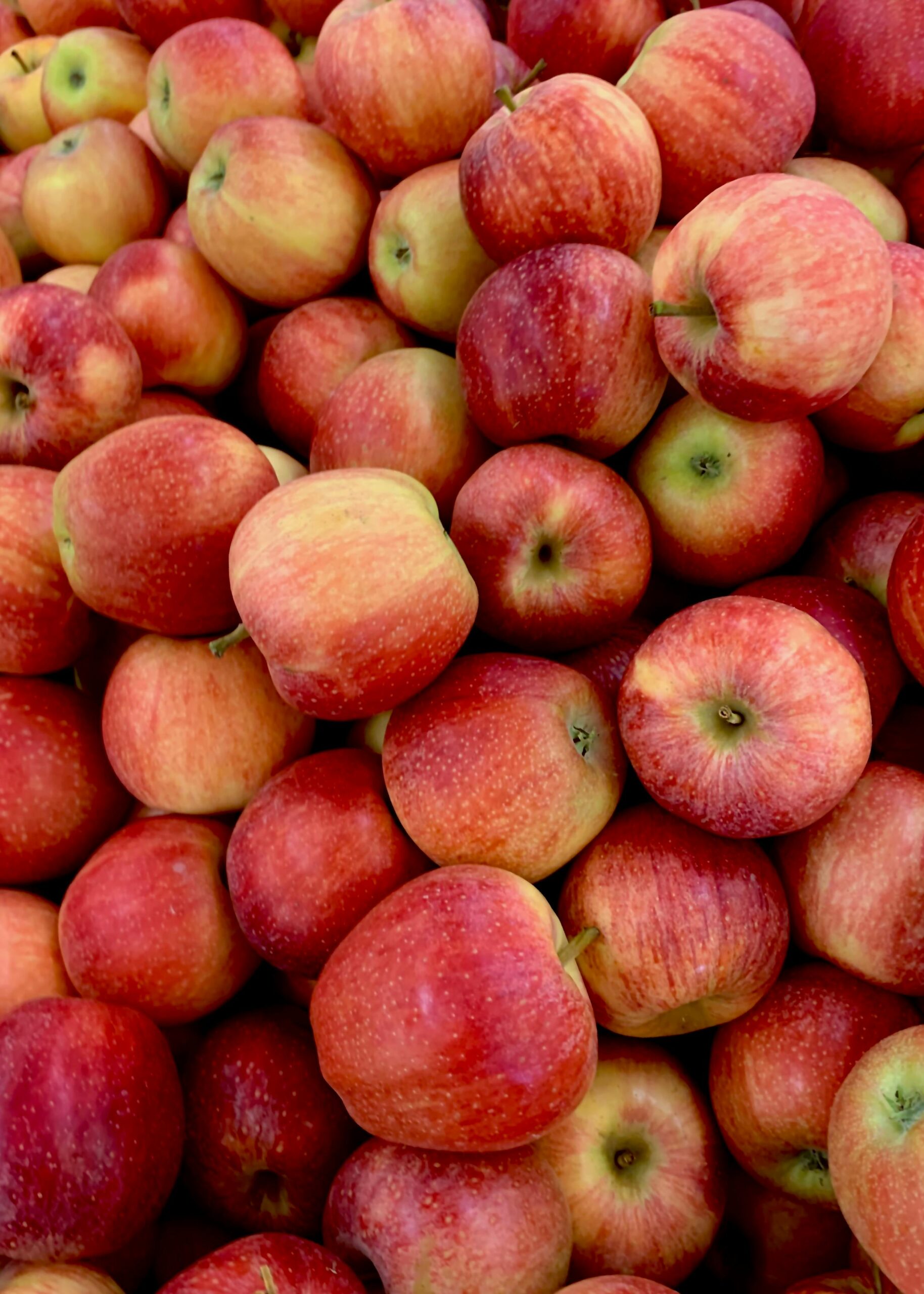 Merele sunt un aliment bun pentru toamnă. sursa foto pexels.com