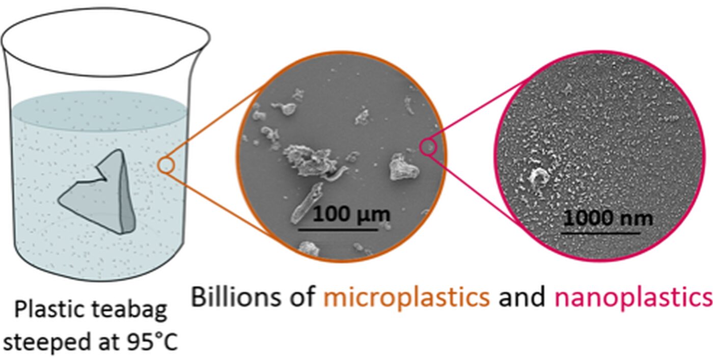 Pliculețele de ceai din plastic eliberează miliarde de microparticule și nanoparticule în ceai