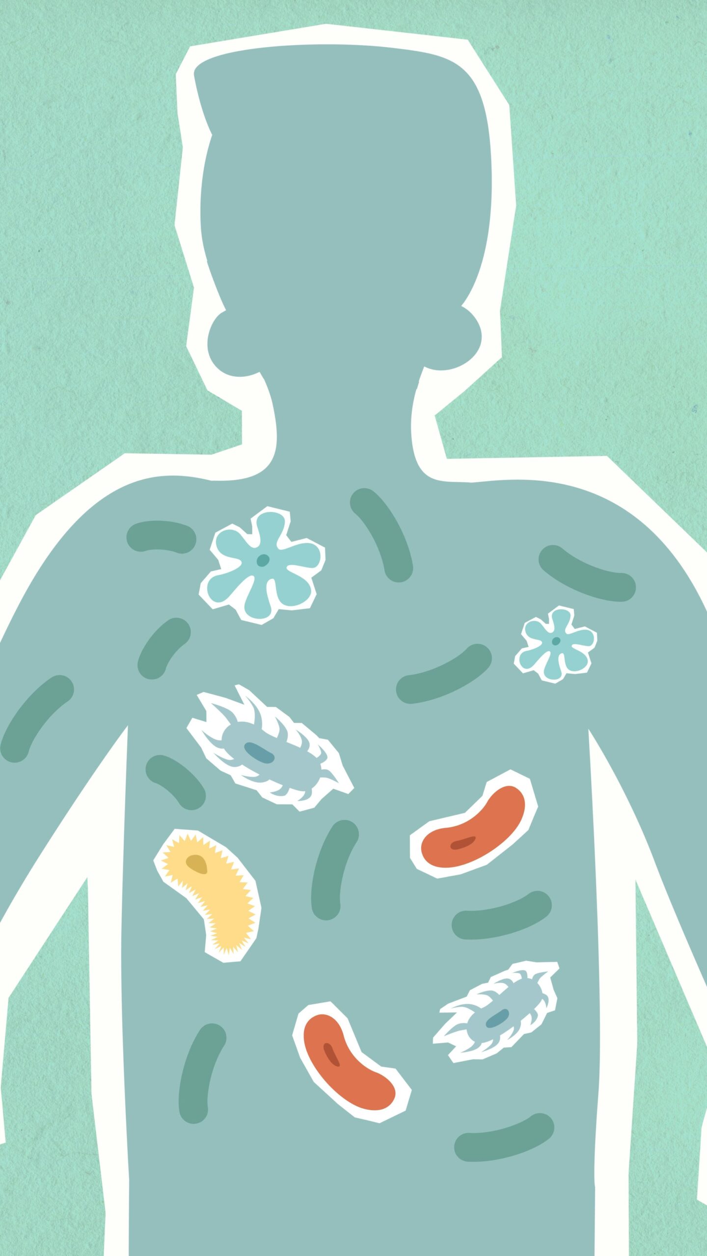 Probioticele ne ajută să absorbim nutrienții din alimente, să metabolizăm medicamentele și să ne educăm sistemul imunitar. sursa foto pexels.com