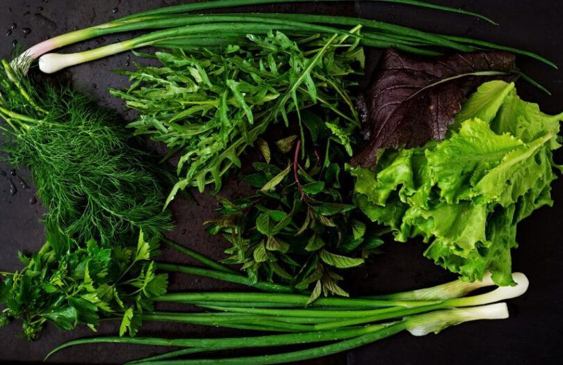 Cum pregătim verdeața pentru iarnă – sfaturi pas cu pas de la Gina Bradea