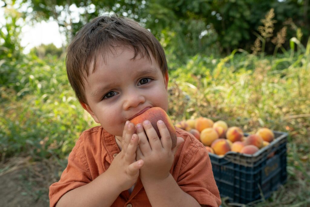8 idei grozave pentru gustări sănătoase de drum lung pentru copii. sursa foto pexels.com