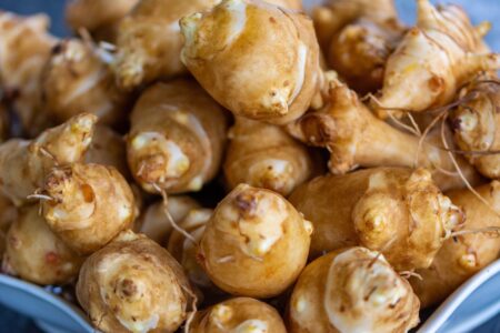 Ce sunt anghinarele de Ierusalim (sunchokes)?