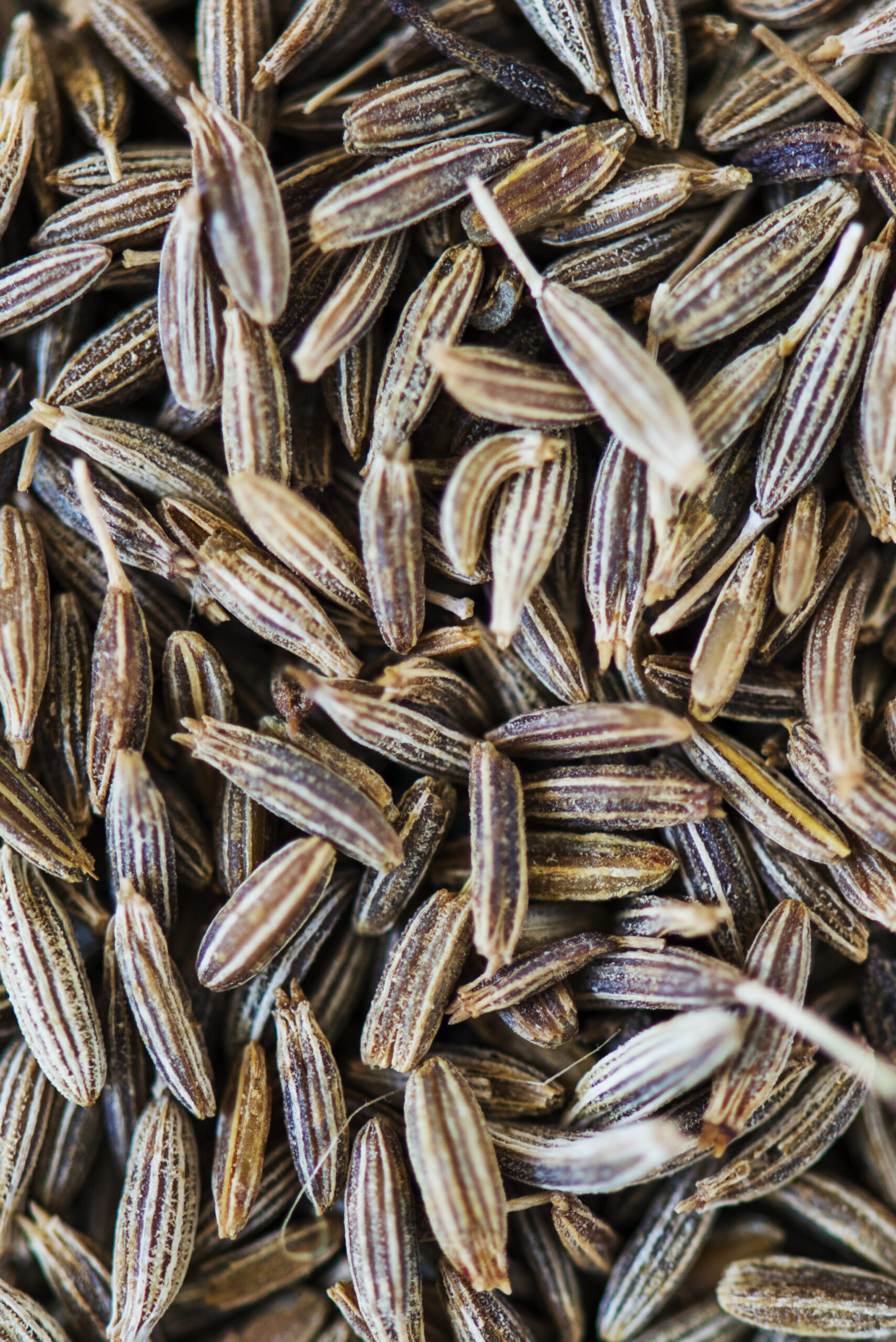 Specialiștii recomandă măcinarea semințelor înainte de consum, pentru a crește absorbția substanțelor active în organism. sursa foto pexels.com