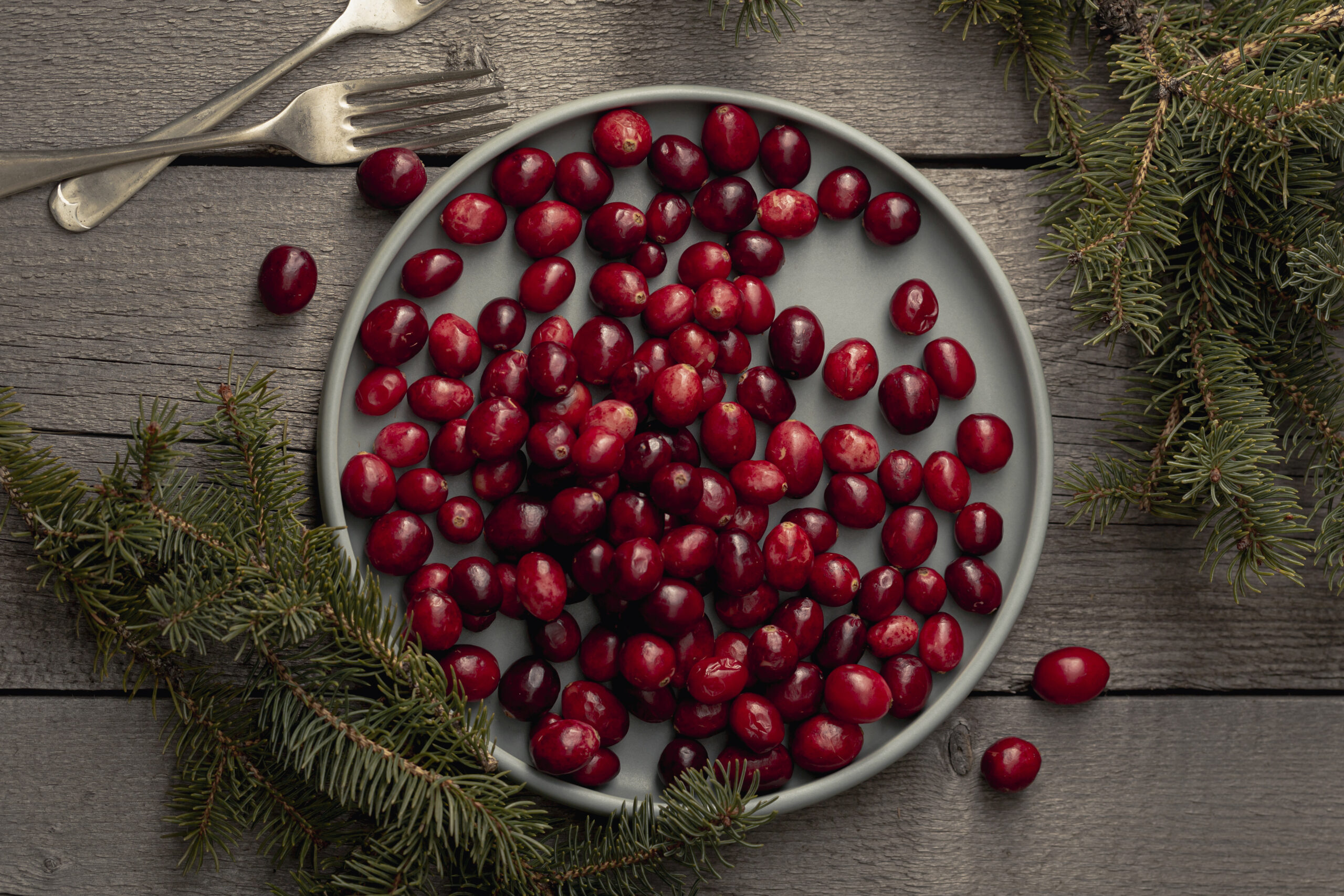O porție de merișoare uscate are în jur de 25 g de zahăr adăugat, pentru a compensa gustul acrișor natural. sursa foto pexels.com