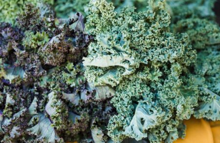 Ce este varza neagră (Kale) și de ce merită să o incluzi în alimentația ta