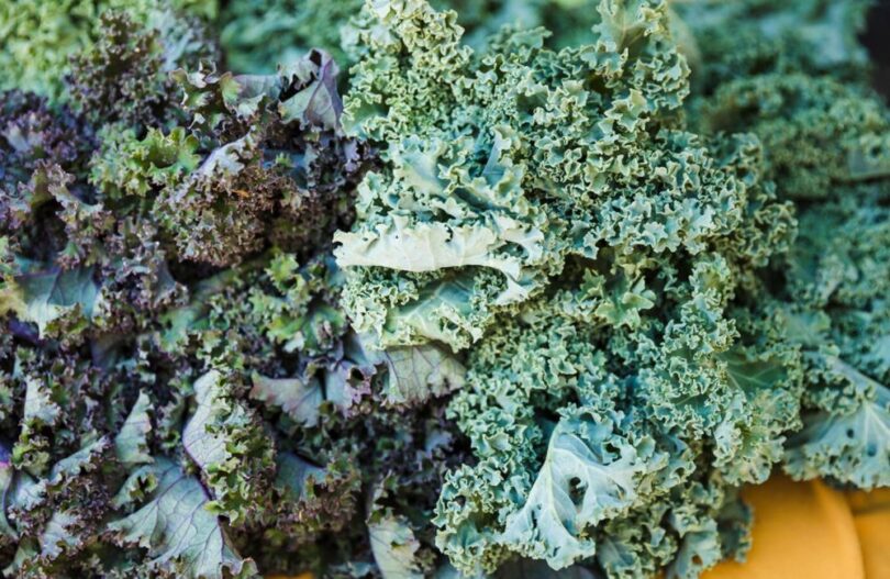 Ce este varza neagră (Kale) și de ce merită să o incluzi în alimentația ta