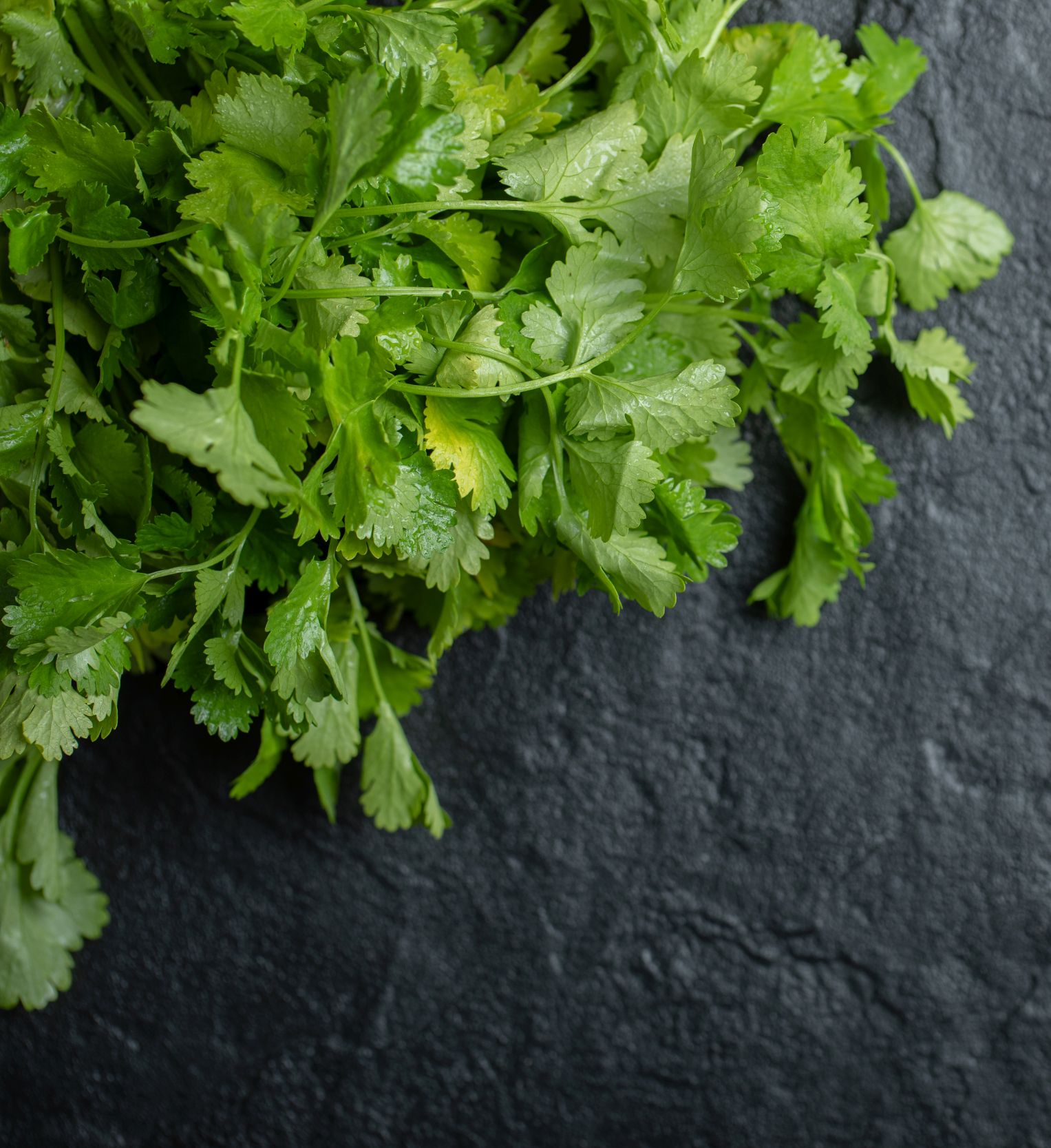 Persoanele au o variație specifică în anumite gene ale receptorilor olfactivi, un set de gene care influențează modul în care creierul percepe mirosurile și aromele. sursa foto freepik