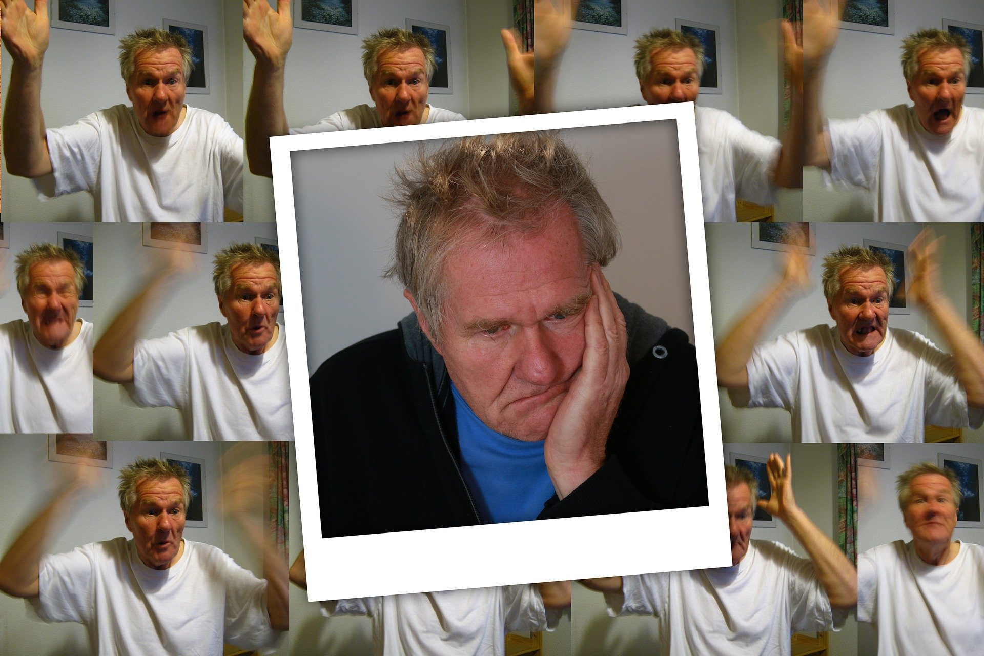 Când plasele protectoare sunt păstrate în siguranță la șoarecii de laborator, animalele nu își pierd amintirile legate de interacțiunile sociale, în ciuda evoluției bolii. pixabay