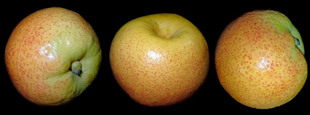 Hibrizii apar atunci când polenul unei specii fertilizează floarea alteia, combinând trăsături genetice din ambele. sursa foto pexels.com